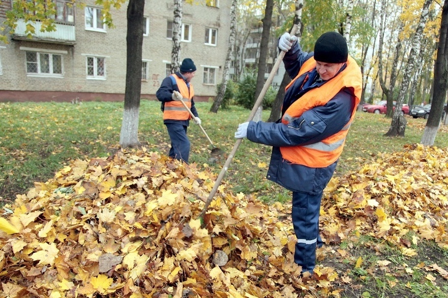 дворники